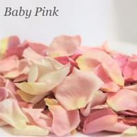 12 x Organza Guest Confetti bags with Freeze Dried Rose Petals